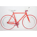 Girls Colored Steel Track Fixed Gear Bike